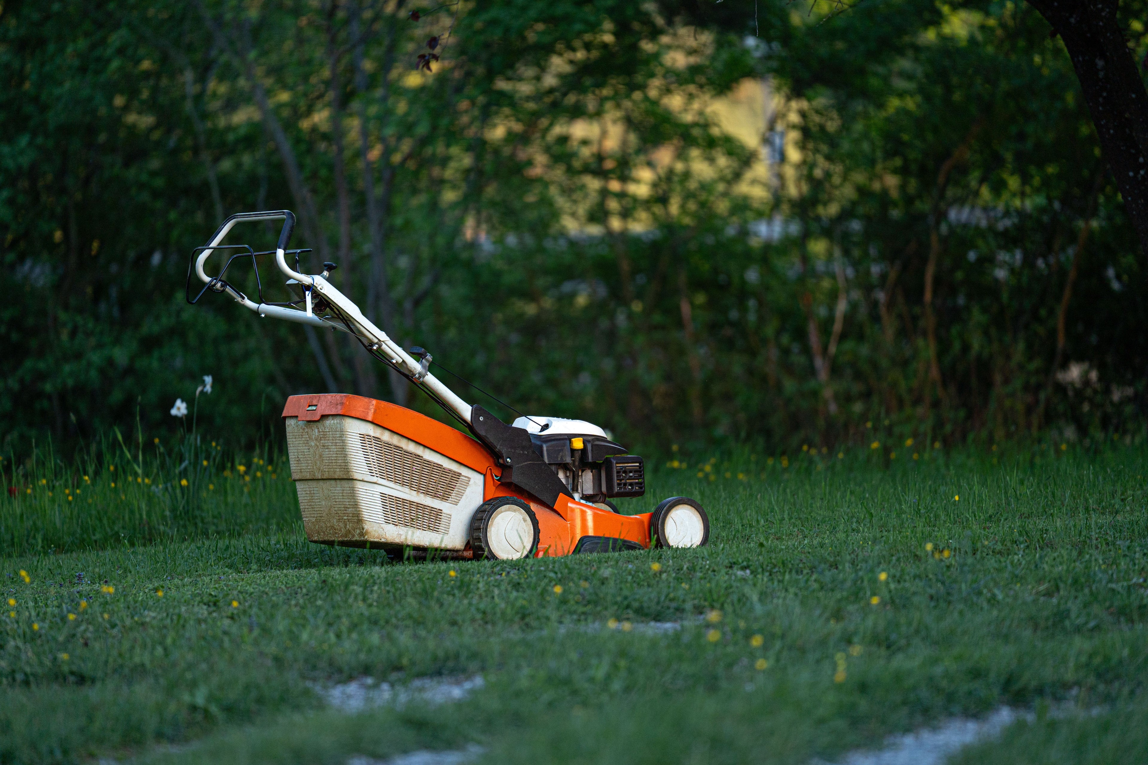 Lawn Cutting